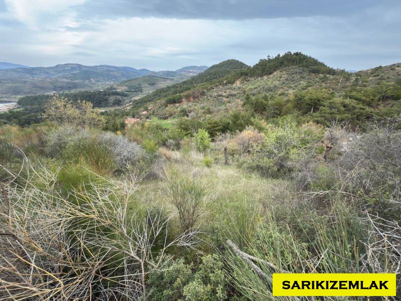 Havran Hallaçlar Mah`daZeytinlik. - 13